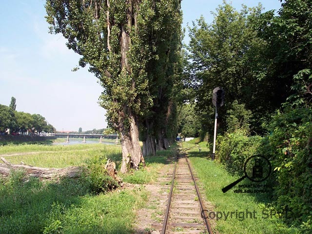 Trať užhorodské pionýrské železnice vedené podél řeky Už.